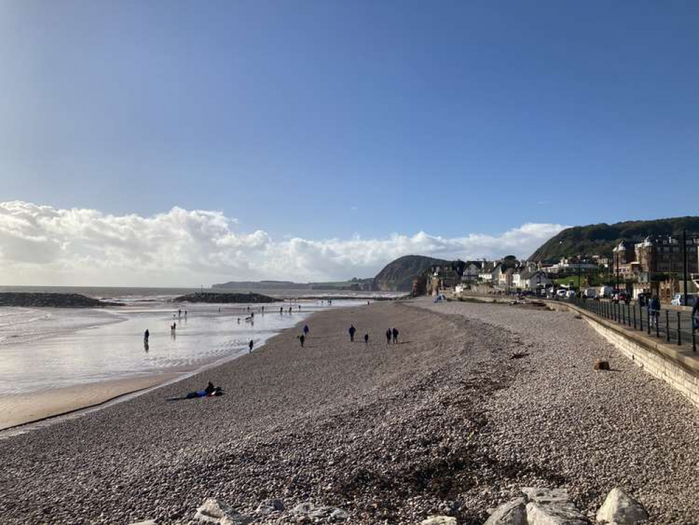 Sidmouth town beach (Nub News, Will Goddard)