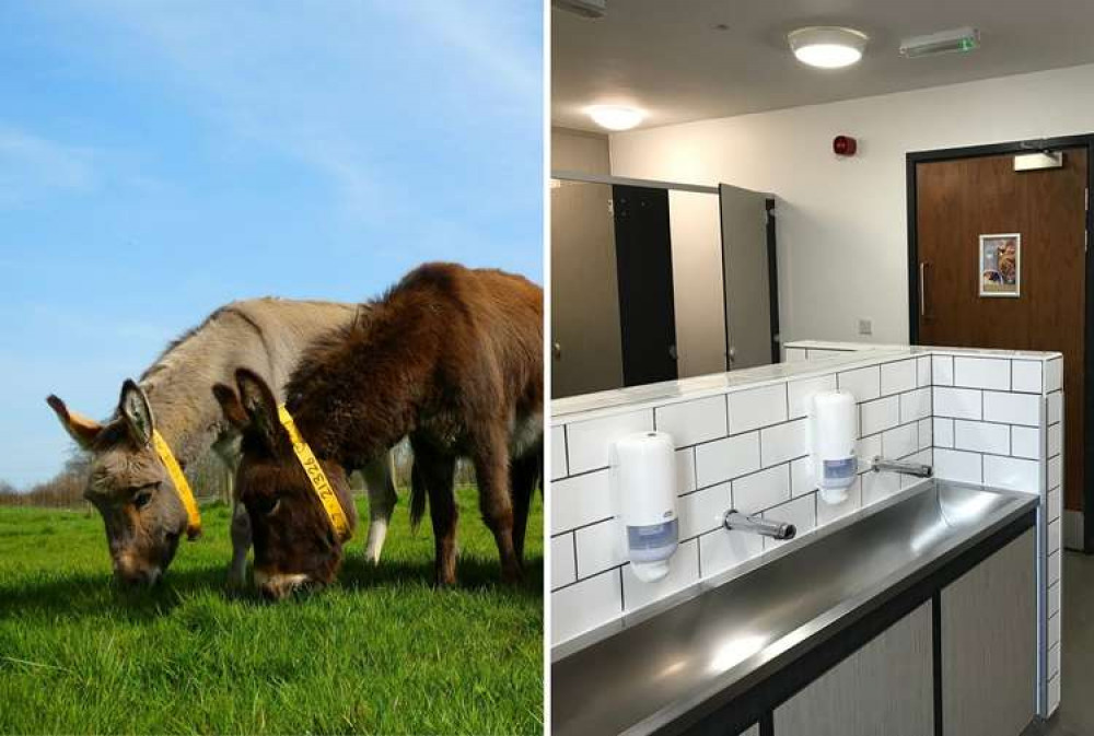 L: Donkeys at The Donkey Sanctuary, Sidmouth. R: The winning loos (The Donkey Sanctuary)