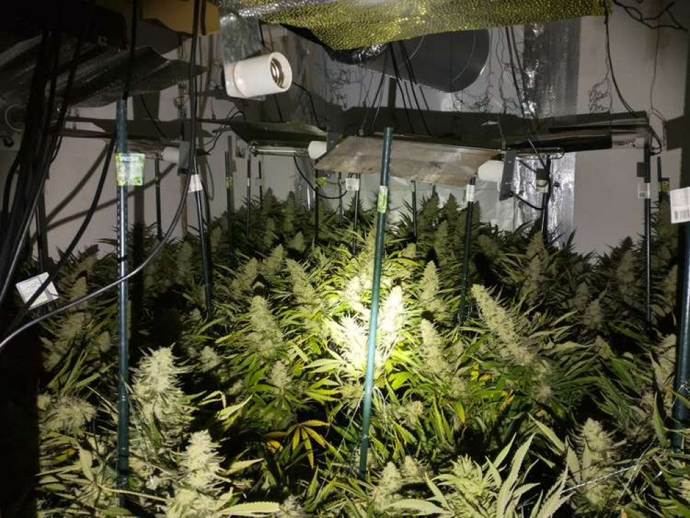 The cannabis grow was discovered upstairs at the Swadlincote property. Photo: Swadlincote SNT