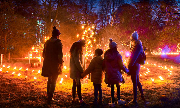 Families enjoy the magical after-dark trail (Image: ©RBG Kew)