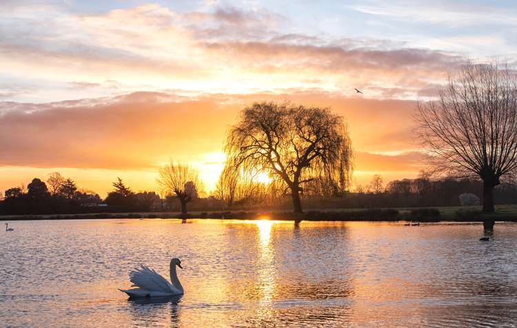 Bushy Park is on our doorstep (Image: Sue Lindenberg)