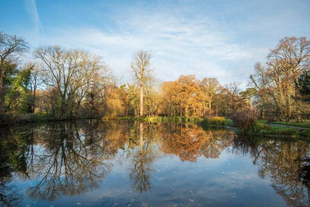 Reflections in Teddington's Bushy Park (Image: Sue Lindenberg)