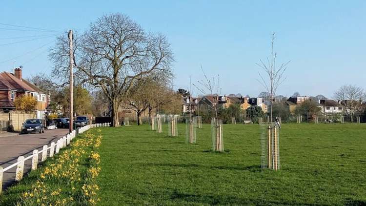 Holly Road recreation ground in Hampton Hill (Image: Chris Burgess)
