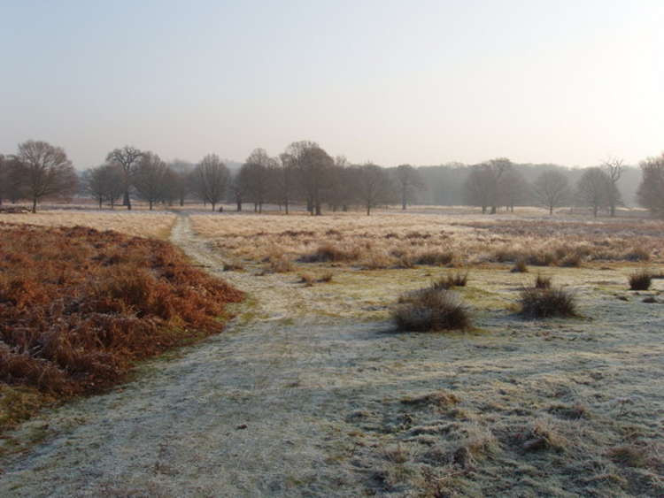 A frosty scene in Richmond Park (Image: David Hawgood / CC BY-SA 2.0)