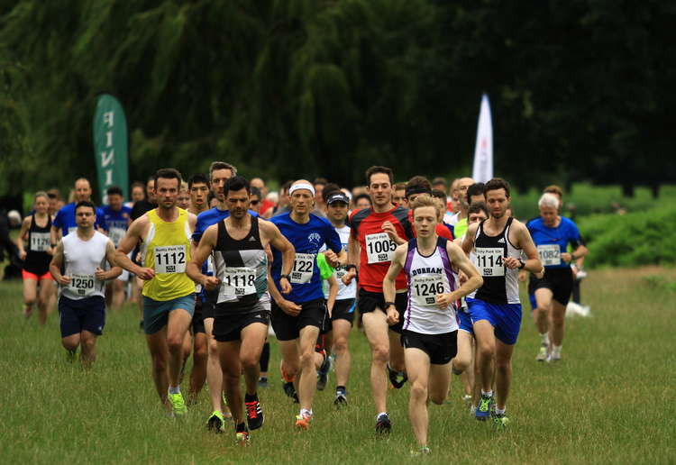 The Bushy Park New Year 10k and 5k takes place this Sunday (Image: Nice Work)