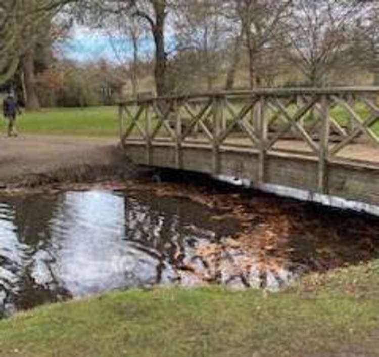 Paths to the bridges will be improved and a viewing platform is planned