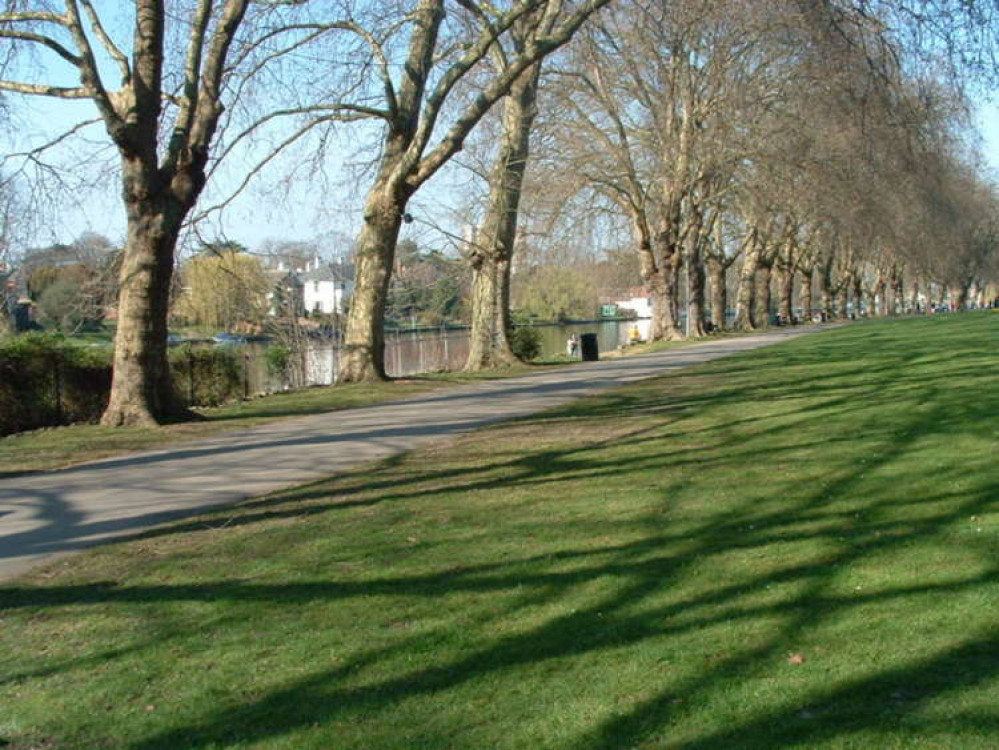 Canbury gardens by the Thames at Kingston (Image: Ron Belcher / Canbury Gardens Kingston Upon Thames / CC BY-SA 2.0)