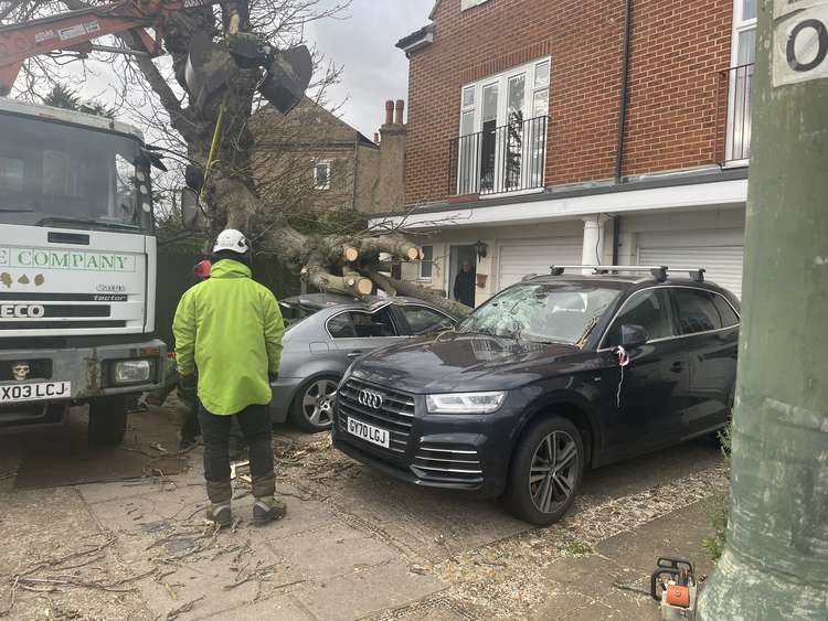 Cars on Kingston Lane have been damaged by a tree broken by the storm (Image: @EnemyCoastAhead)