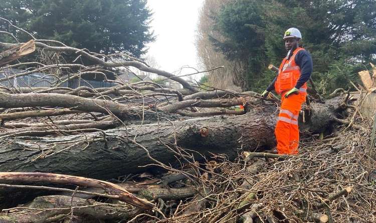 A massive tree blocked the SWR line at Ewell West this morning (Image: Network Rail)