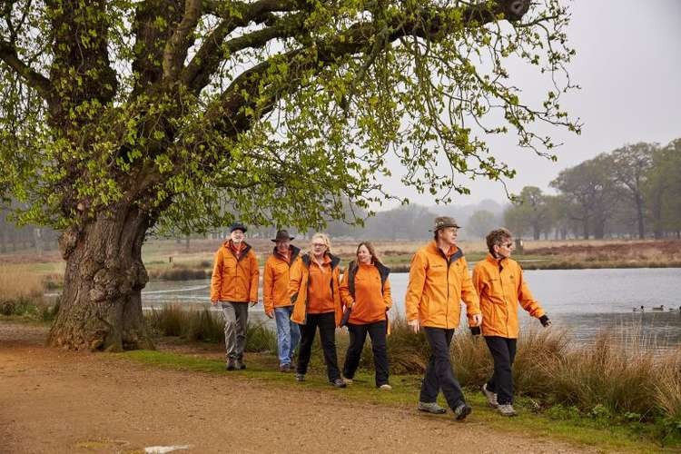 Volunteer rangers in Bushy Park