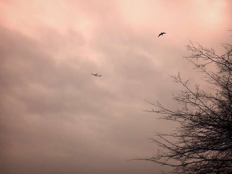 A strange orange glow filled the skies above south west London today. Credit: Ruth Wadey.