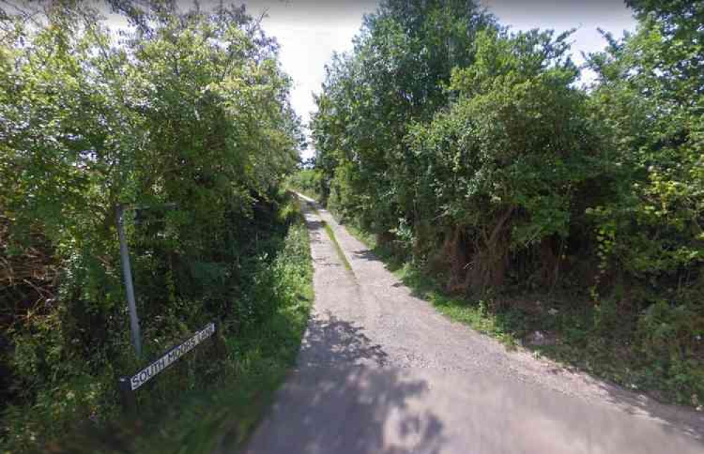 The horse was rescued from South Moors Lane, Chilton Polden (Photo: Google Street View)