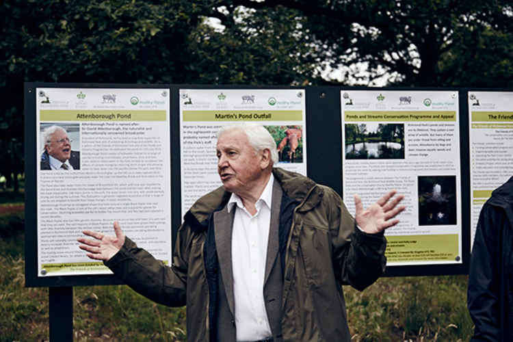 Sir David Attenborough - patron of the Beverley Brook Restoration Project.