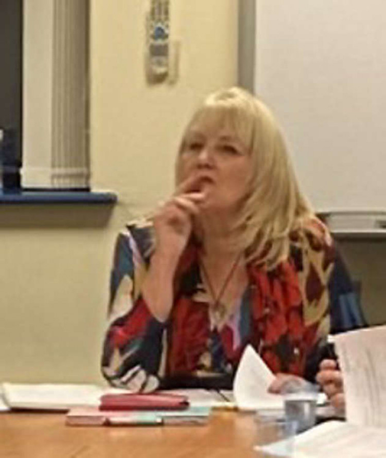 Cllr Sue Little at last night's meeting.