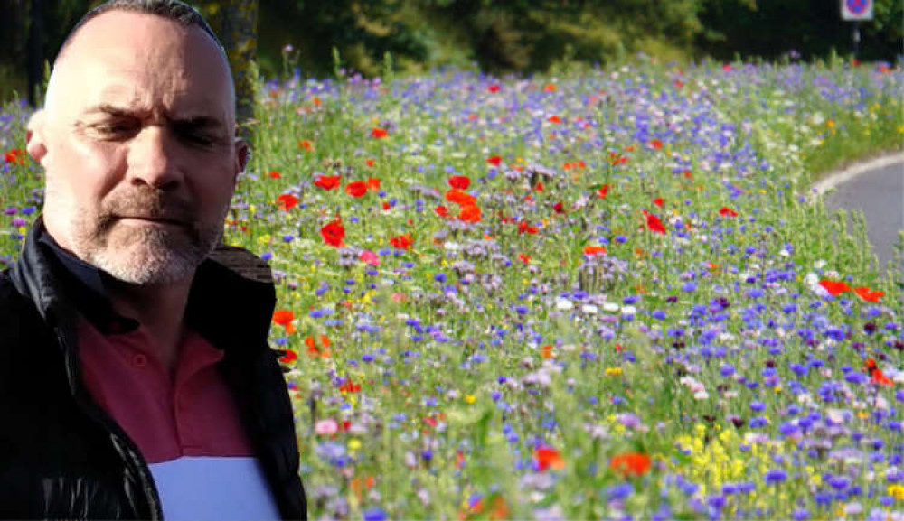 Cllr Andrew Jefferies has announced wildflower plans.