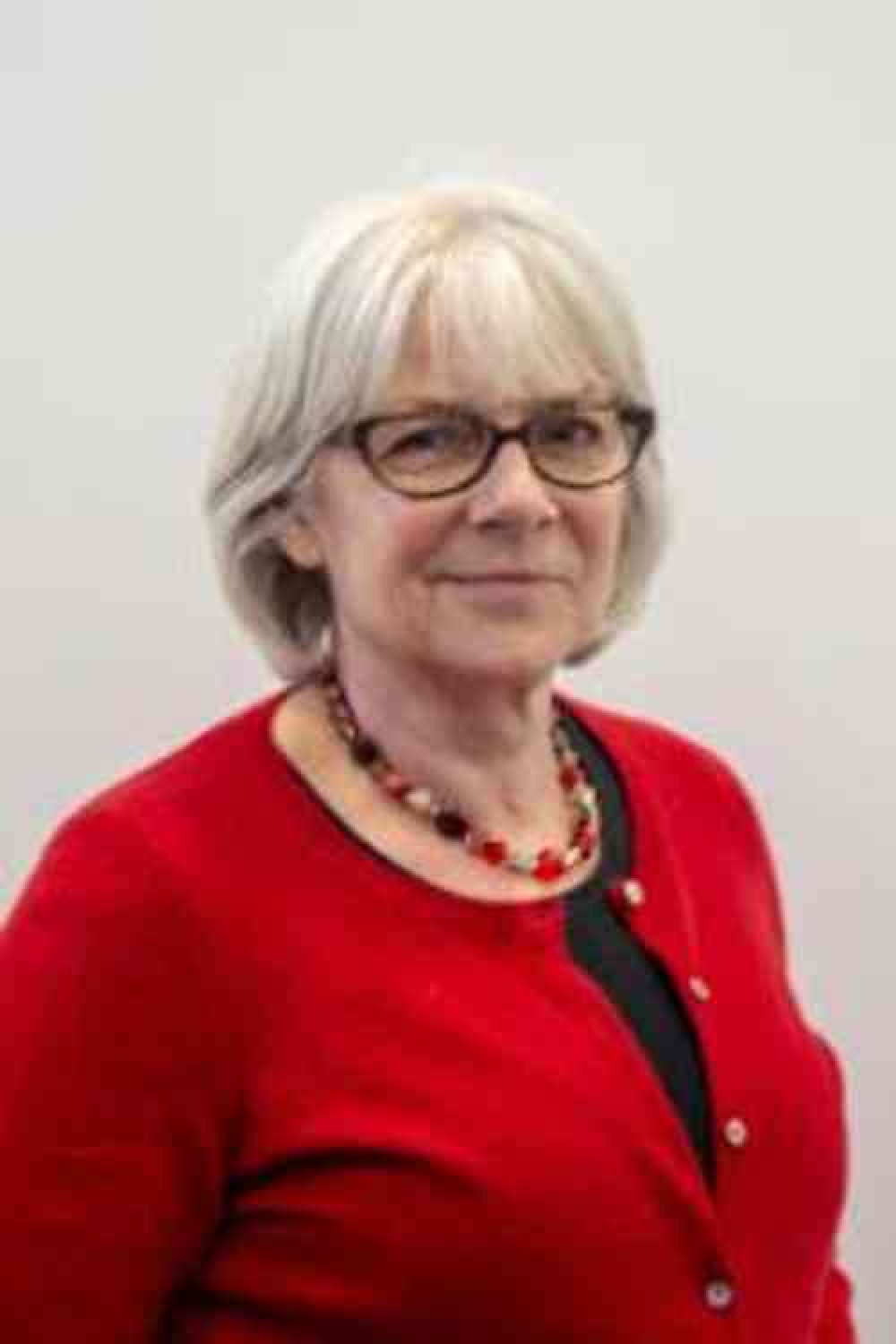 Liz Leyshon, Somerset county councillor for Glastonbury and Street (Photo: Mendip District Council)