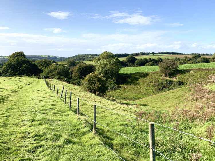 Climbing back up towards Manley Road, you get a beautiful view of the fields and woodland.