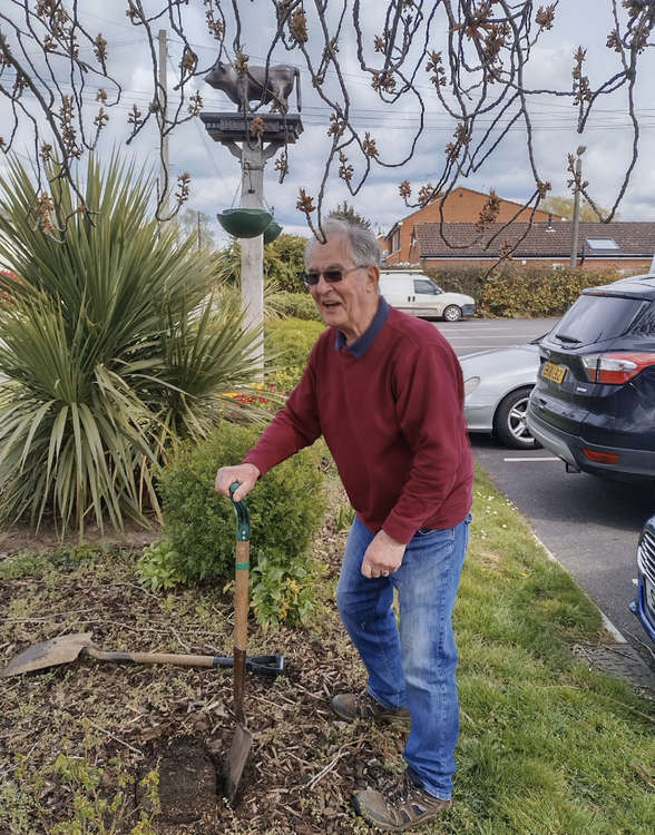 Rod Addison plants a rose in Bulphan.