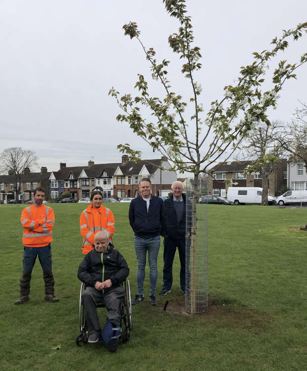 A new tree in place in Grays.