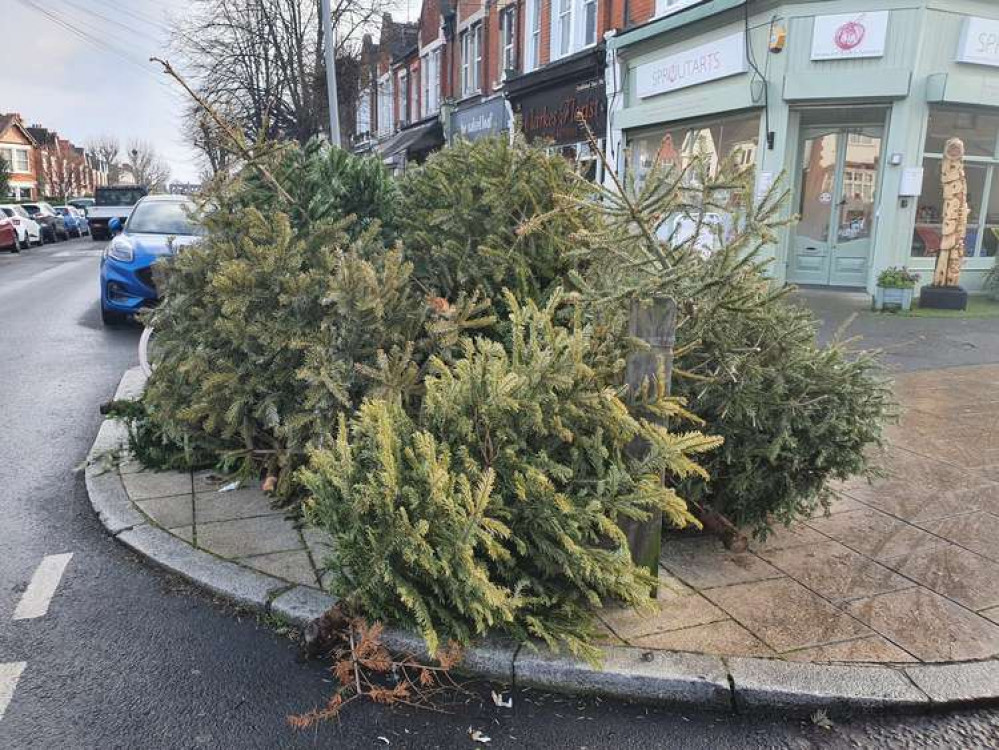 Christmas trees piling the pavements of Furzedown (credit: Adam Seymour Davies)