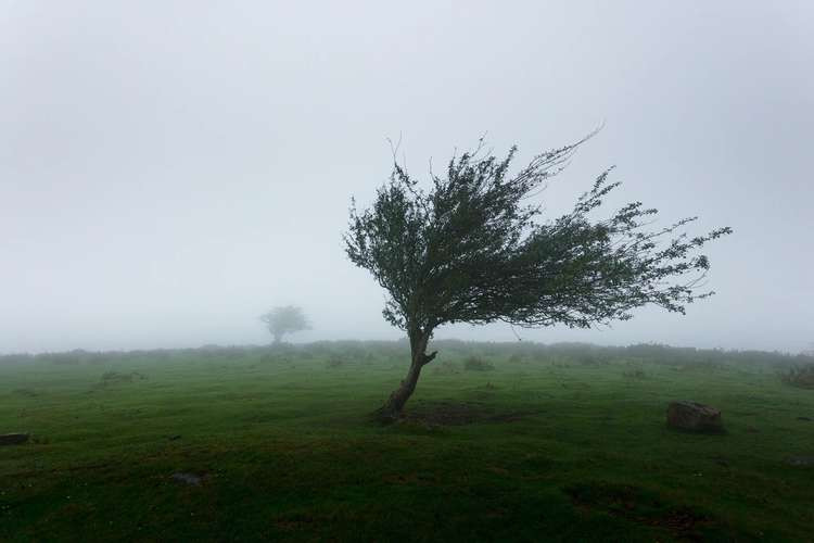 The Met Office has issued an amber weather warning across the capital (credit: Unsplash)