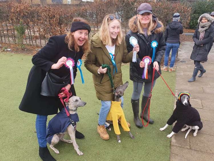 A festive dog show saw more than 30 pups dressed up in their finery for a return of the annual Diamond Jubilee Gardens event.