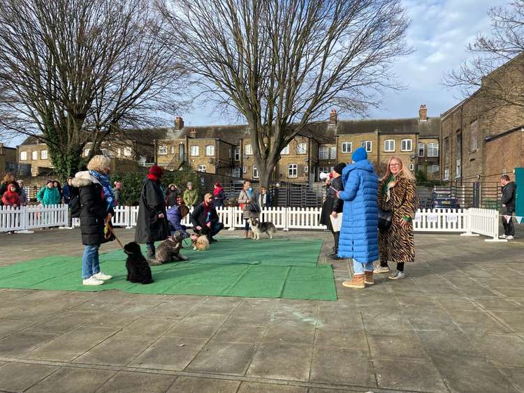 These much-loved dogs and their owners padded down to the show last weekend, organised by the Twickenham Riverside Trust.