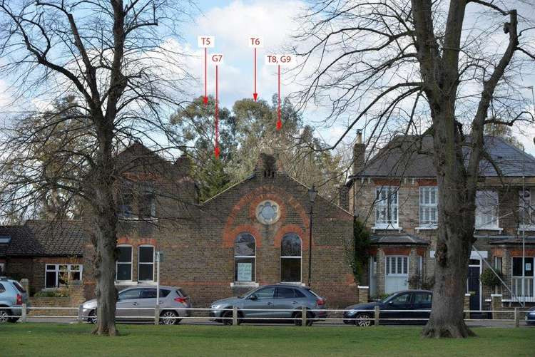 Controversial plans to fell trees in a 'wildlife corridor' near Twickenham Green have been approved despite fierce opposition from residents.