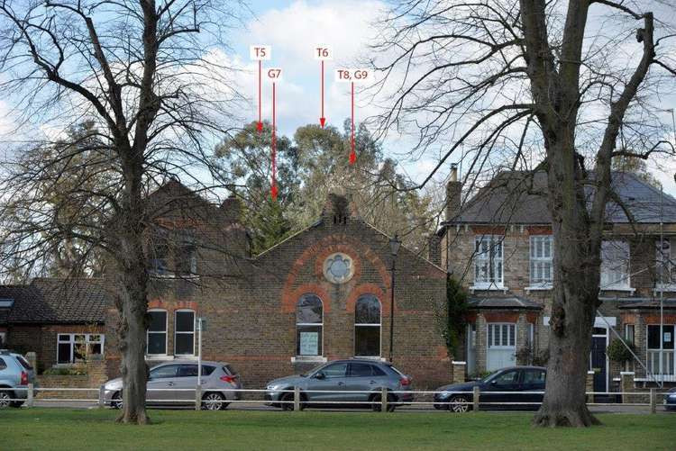 Families are to hold a placard protest on Monday over plans to fell a group of much-loved trees on land close to Twickenham Green.