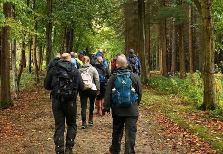 Alderley Edge: Fancy a walk with new people in our beautiful woodlands and countryside?