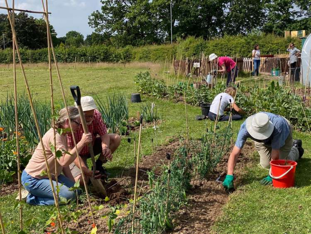While the event hosted by a Wilmslow organisation is next week, you can get planting now ahead of the date. (Image - @wilmslowcommunitymarketgarden)