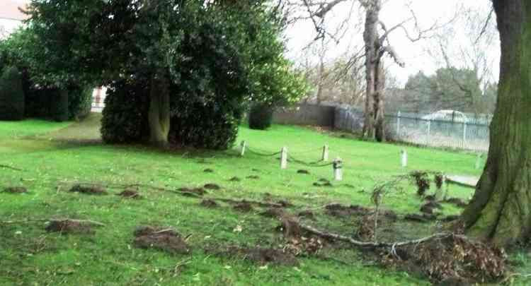 Spotted above ground: There is no disguising the molehill problem at the Sheepy Road cemetery