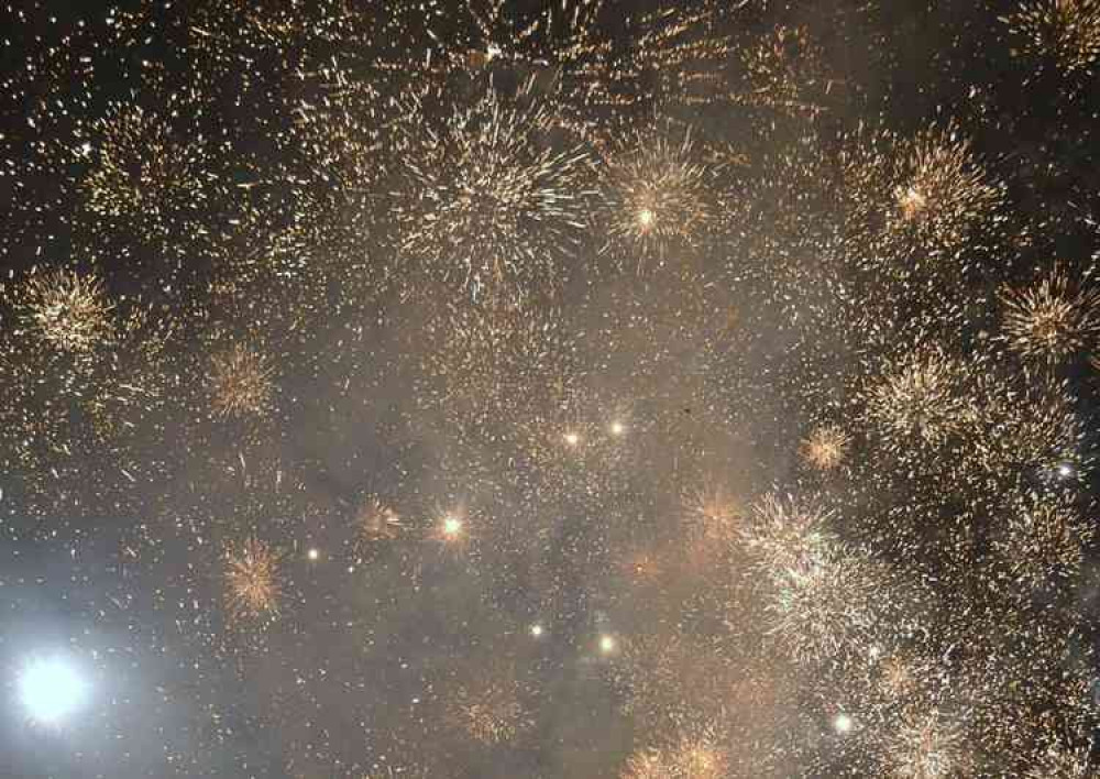 Sparkler or damp squib?: But fireworks clearly bring 'fear and distress' to domestic and farm animals