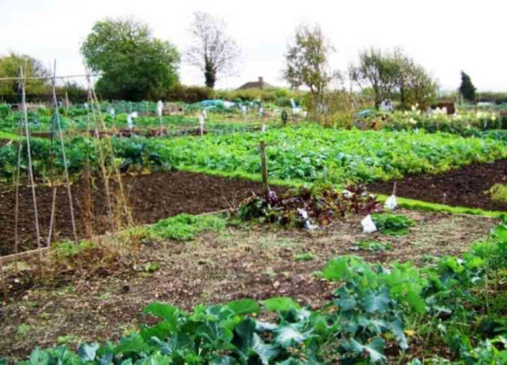 Digging deeper: North Warwickshire Allotments Association among organisations assisted by the borough council's annual grants scheme