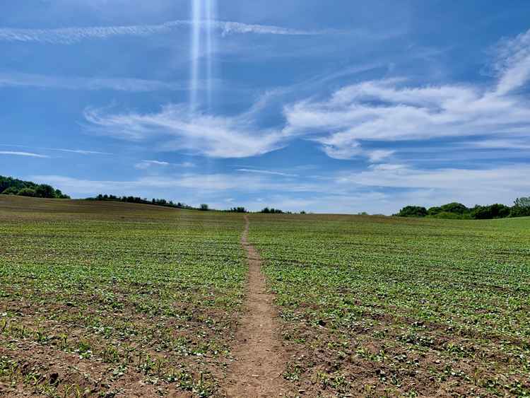 Climbing up the open field