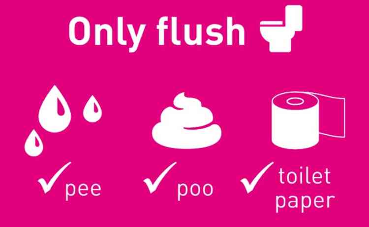 Polite notice on 3Ps: Only flush pee, poo or (toilet} paper down the pan