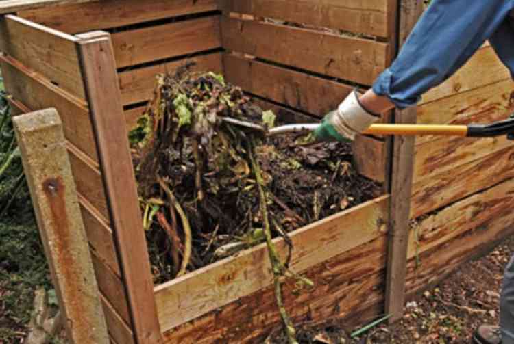 Alternative: Get composting, RHS says