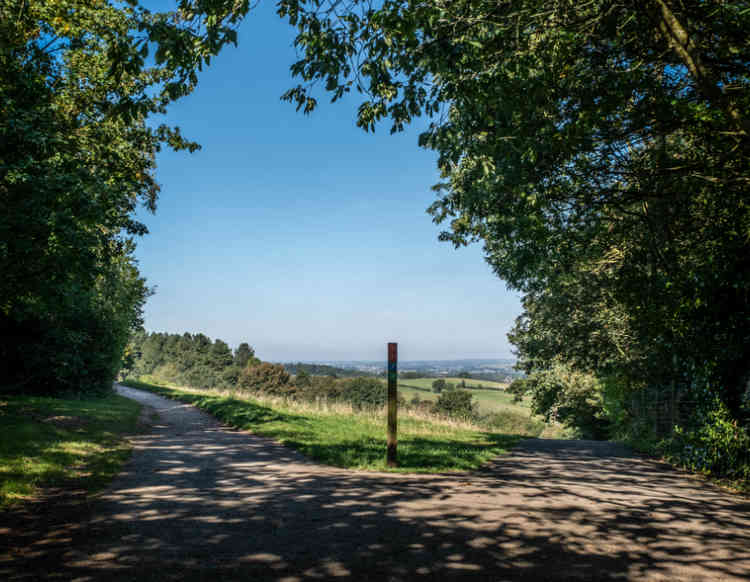 Local beauty: Tranquility of Hartshill Hayes on a sunny day