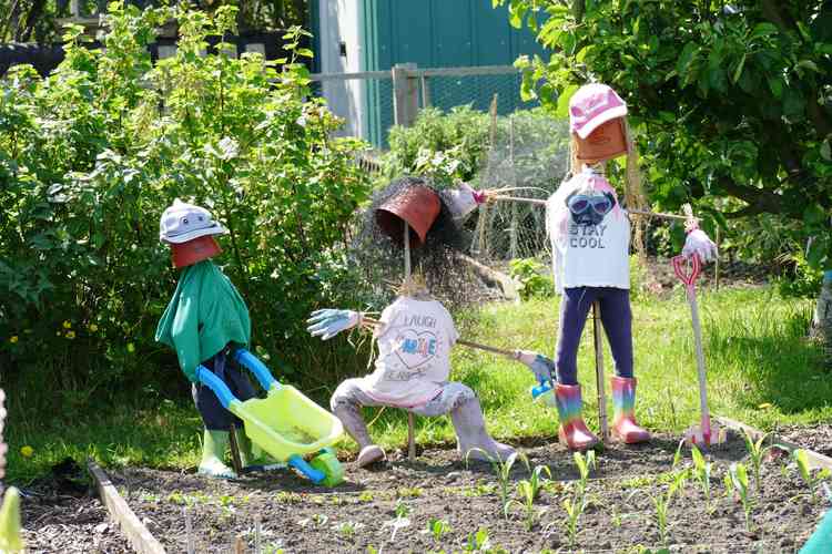 Don't be put off: Scarecrows aplenty