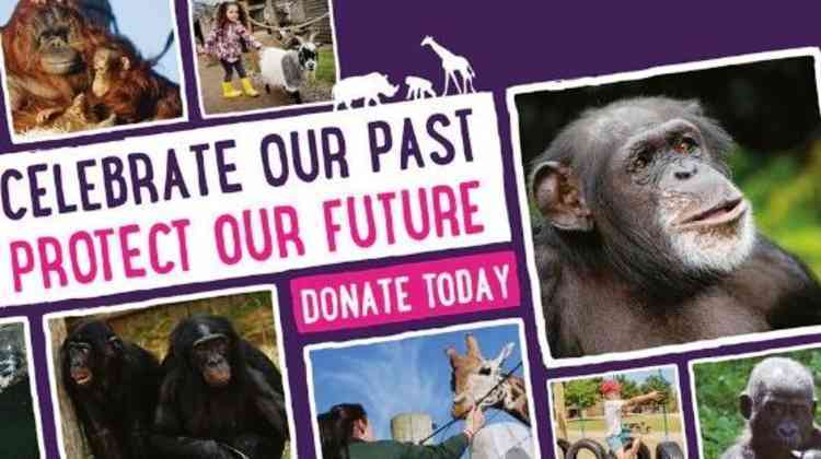 Desperate times: Campaign to protect the future of animal conservation