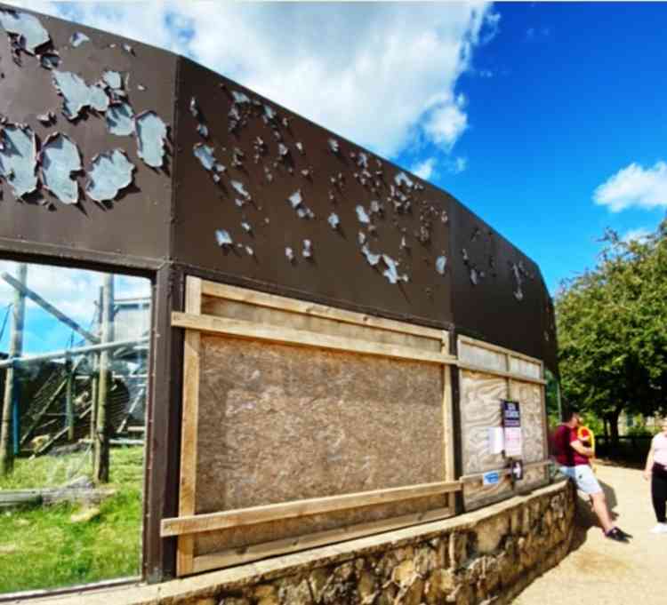 In the wars: An enclosure boarded up at the zoo