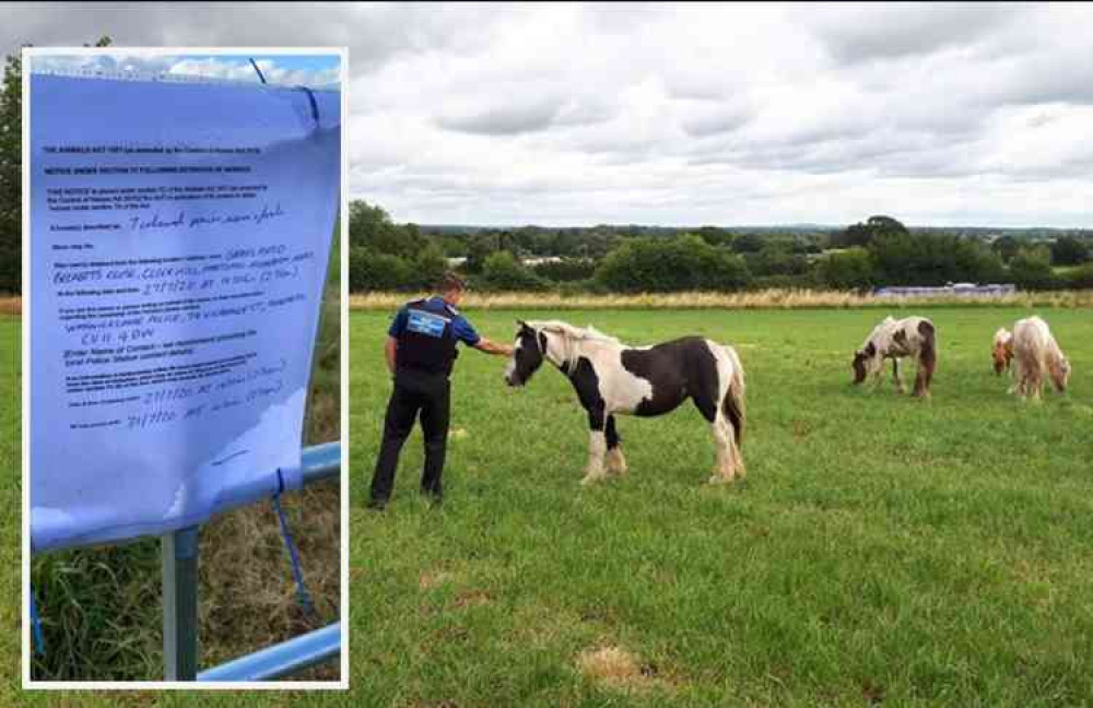 Police notice: Terms of the detention of the animals, pictured right