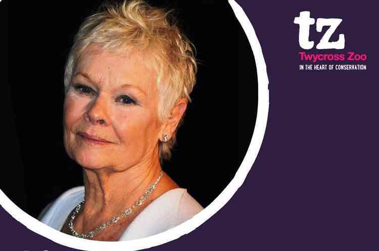 Supporting line: Dame Judi Dench
