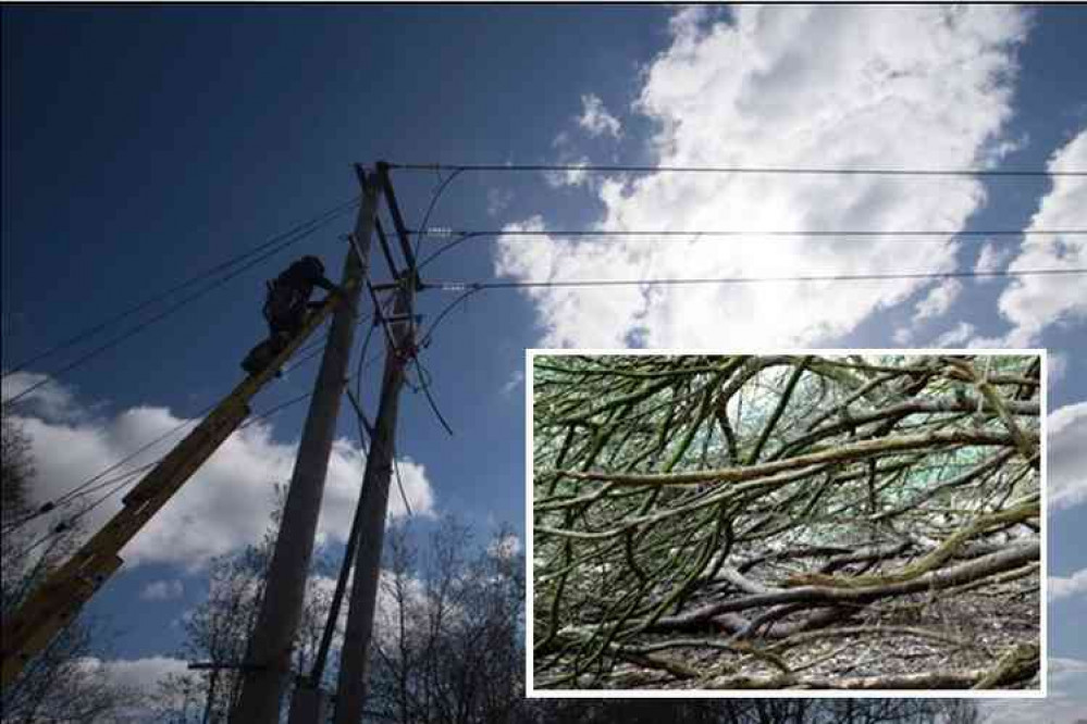 Restoring power: WPD on the job after a fallen tree disrupted the elecritiy supply to Atherstone