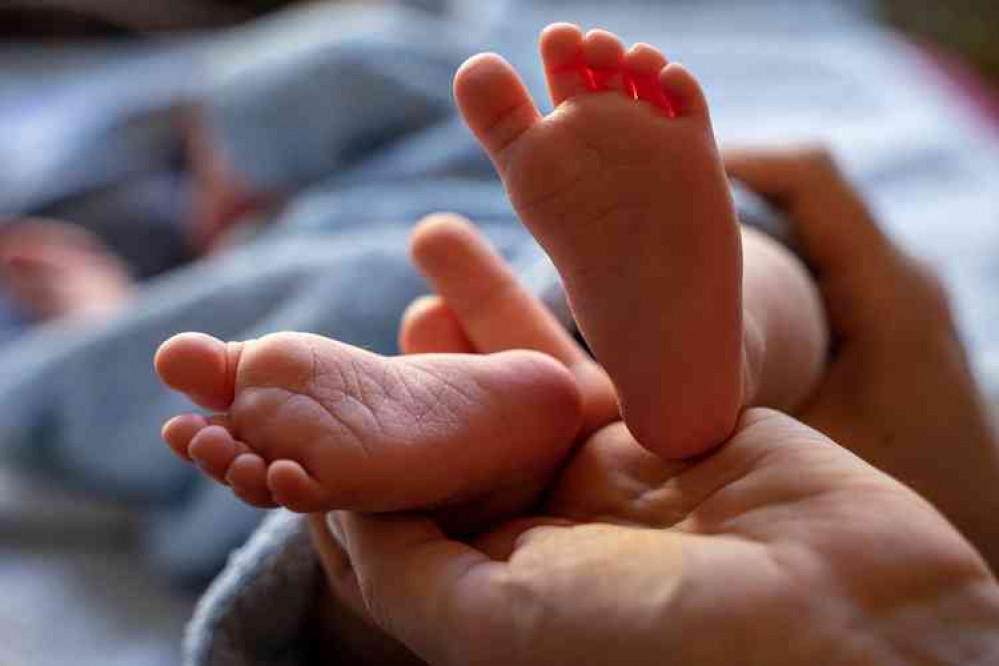 New-borns: Make them official, say registrars