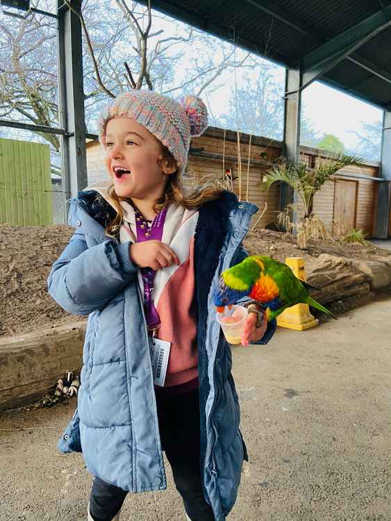 Isla completed her final one mile walk at Twycross Zoo today