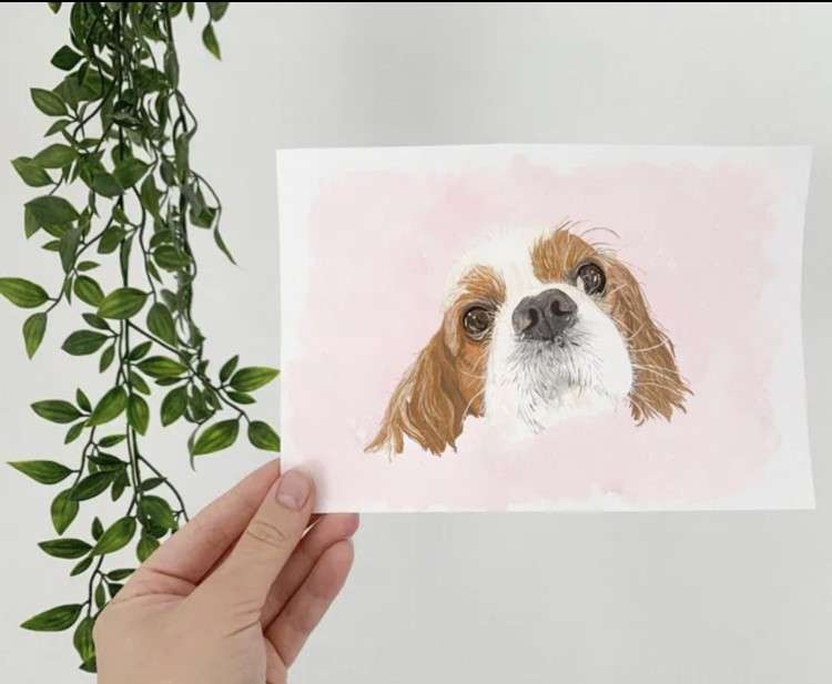 The artist has been creating pet portraits since 2020 (Image by Mollie Betteridge)