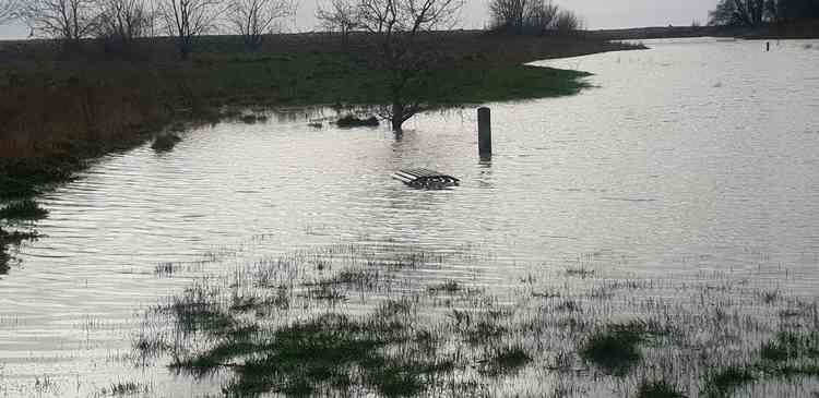 A Bench Submerged in Porthkerry Park