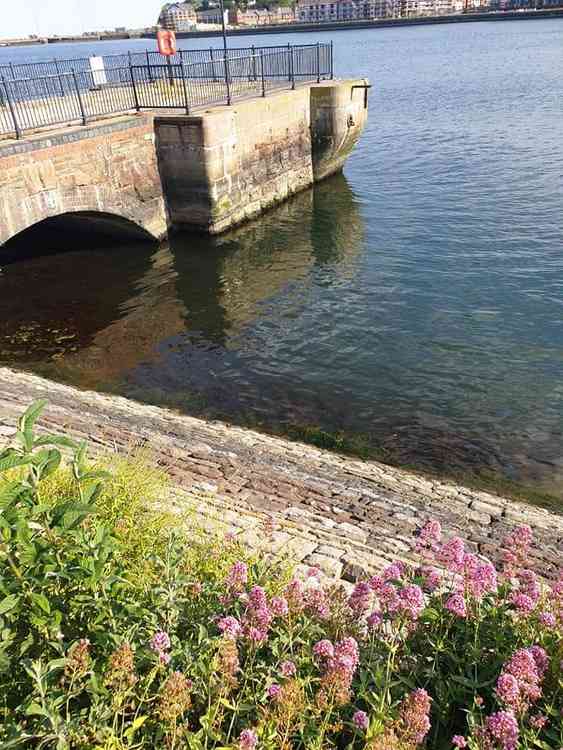 Barry Coastguard