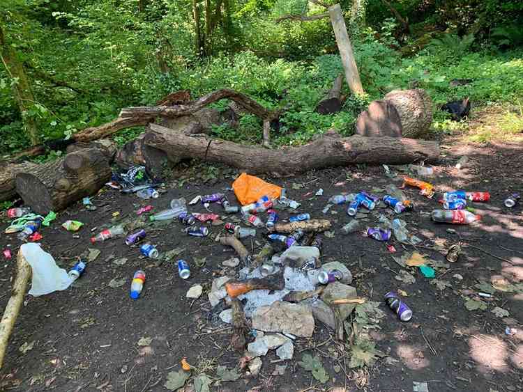 Vale of Glamorgan Council - Park Littering